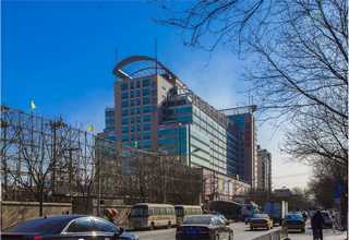 重庆釉木纹柔光砖批发