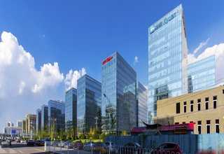 头上长皮癣很痒怎么办