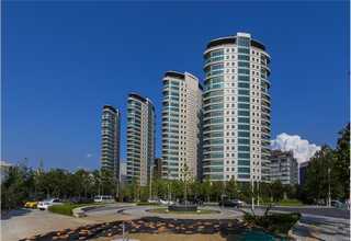 东丽区专业的全网营销怎么做